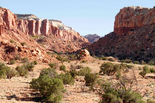 Colorado Plateau Cool Semi-Desert Ruderal Grassland)