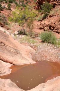 Ephemeral Catchments