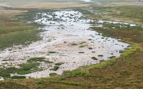 Ephemeral Marshes/Cienegas/Springs)