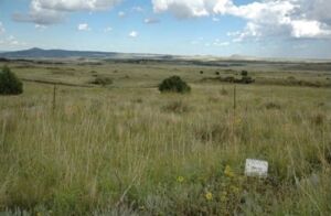 Great Plains Mixedgrass Prairie