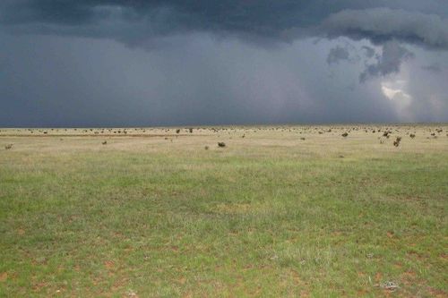 Great Plains Shortgrass Prairie
