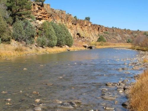 Perennial Cold Water Streams