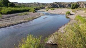 Perennial Warm Water Streams