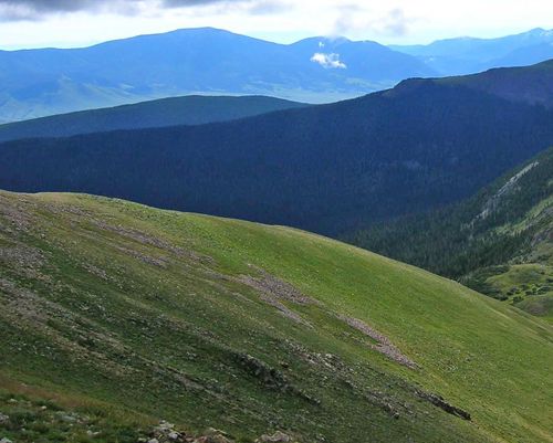 Rocky Mountain Alpine Vegetation)