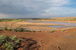 Desert Alkali-Saline Wetland