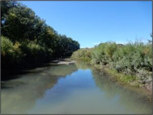 Great Plains Floodplain Forest