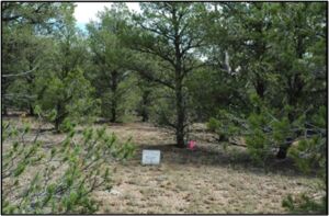 Rocky Mountain Piñon-Juniper Woodland