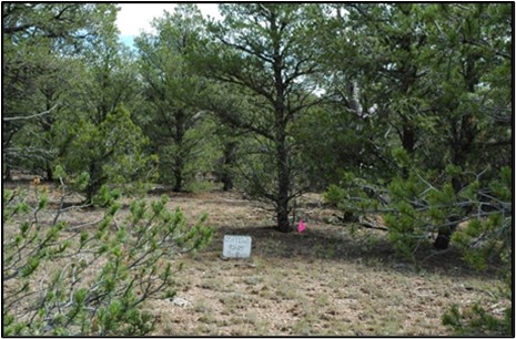 Rocky Mountain Piñon-Juniper Woodland