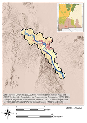 Lower Rio Grande
