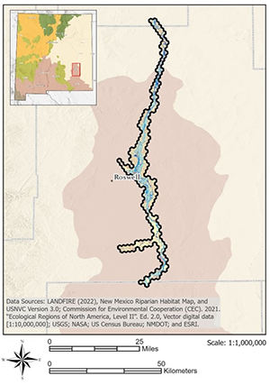 Middle Pecos River
