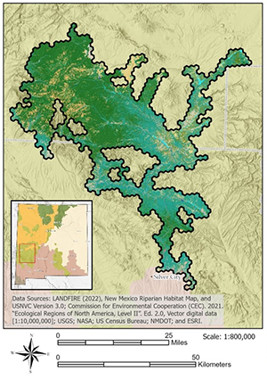 Upper Gila River