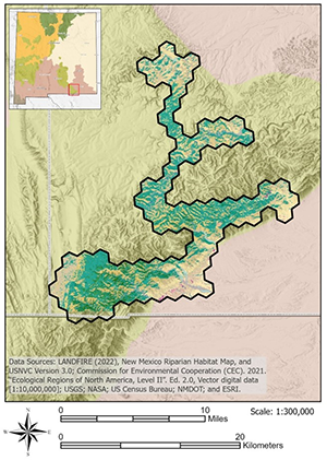 Guadalupe Mountains