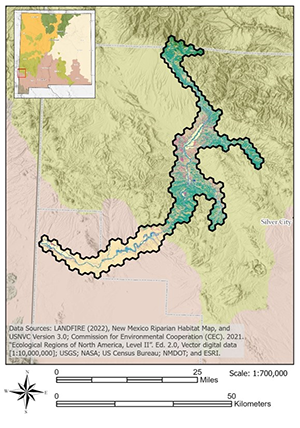 Lower Gila River