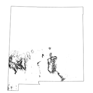 Madrean Lowland Evergreen Woodland