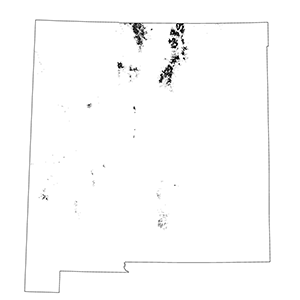 Rocky Mountain Subalpine-High Montane Conifer Forest