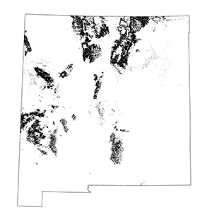 Rocky Mountain Lower Montane Forest