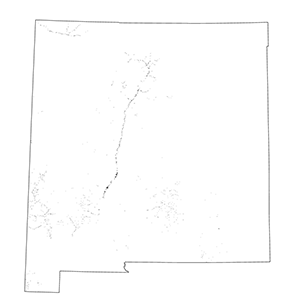 Southwest Lowland Riparian Forest