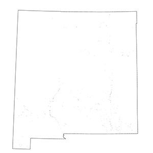 Southwest Lowland Riparian Shrubland