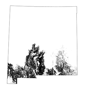 Chihuahuan Desert Scrub