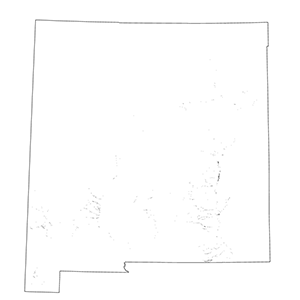 Warm-Desert Arroyo Riparian Scrub