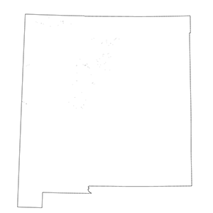 Intermountain Arroyo Riparian Scrub