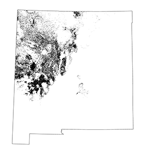 Intermountain Dry Shrubland and Grassland
