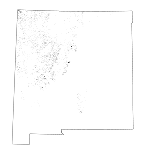 Colorado Plateau Cool Semi-Desert Ruderal Grassland