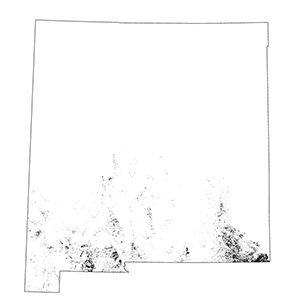 Chihuahuan Ruderal Grassland