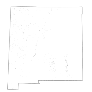 Arid West Interior Freshwater Emergent Marsh